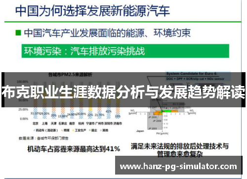 布克职业生涯数据分析与发展趋势解读