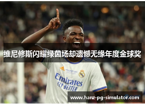 维尼修斯闪耀绿茵场却遗憾无缘年度金球奖 维尼修斯闪耀绿茵场却遗憾无缘年度金球奖
