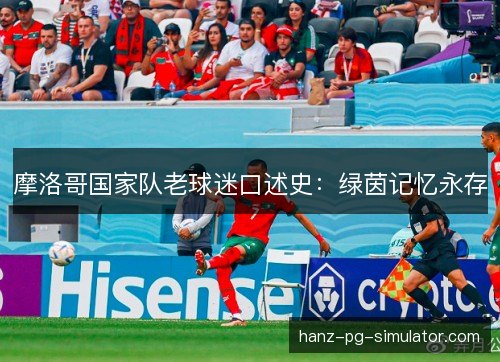 摩洛哥国家队老球迷口述史:绿茵记忆永存 摩洛哥国家队老球迷口述史:绿茵记忆永存